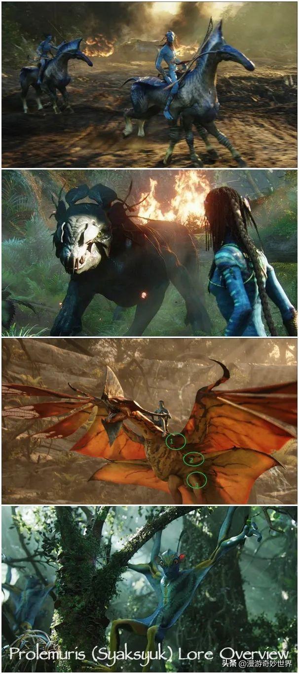 美国国旗上有多少颗星星，美国国旗有多少颗星星（还有这么多你不知道的细节…）