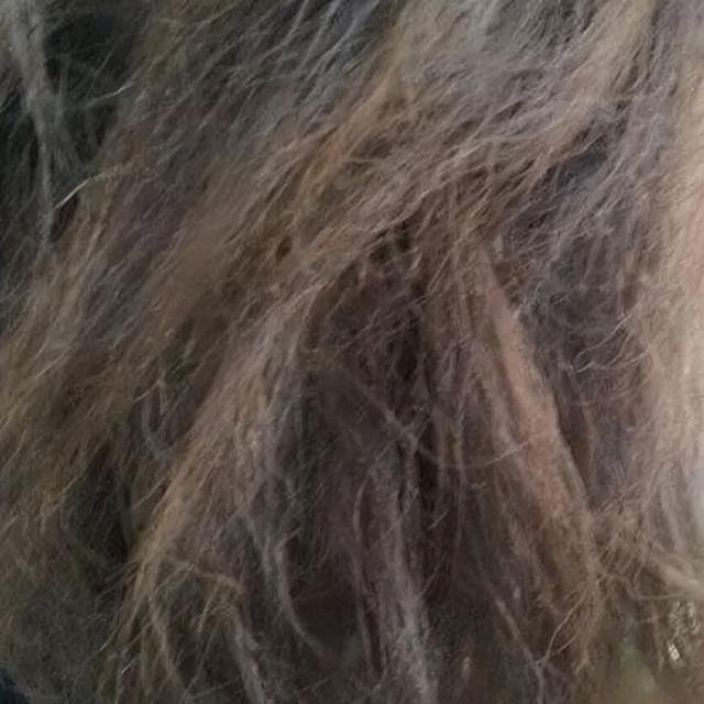 干发帽的正确戴法，干发帽怎么戴（保养头发的方法）