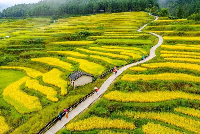 清远连州十大景点大全，清远这10个宝藏景点