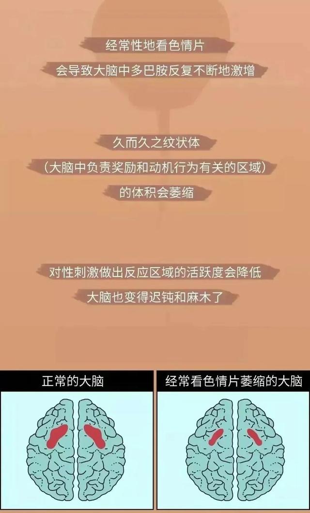 看黄片有什么危害，青少年看黄片的危害有哪些（观看色情片确实有危害）