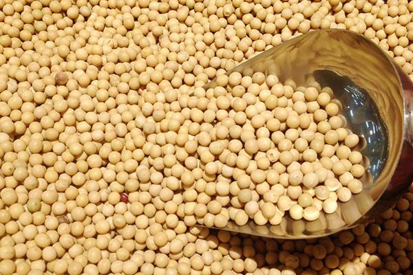 高嘌呤食物有哪些，高嘌呤的食物有哪些（“嘌呤大户”被发现）