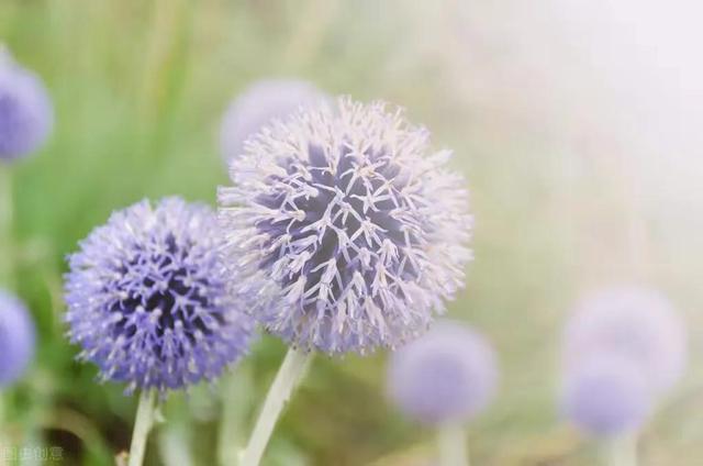 好句子日记摘抄，好句子日记摘抄初中（随手记录生活与心情）