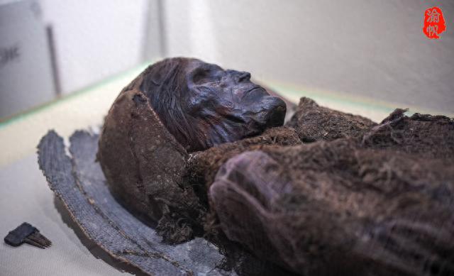 新疆为何出现罕见干尸？有楼兰美女还有高昌将军，博物馆给出真相