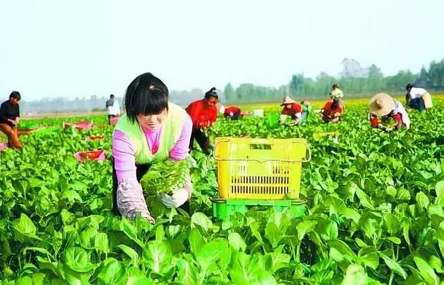 东北女人的性格特征，东北女孩有什么特点（中国各省人的性格特点）