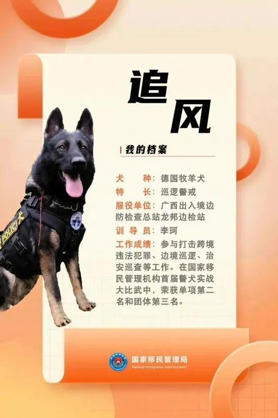 汪汪队立大功百科,汪汪队立大功人物介绍(国家首批功勋犬简历曝光) 汪汪队立大功百科,汪汪队立大功人物介绍(国家首批功勋犬简历曝光)