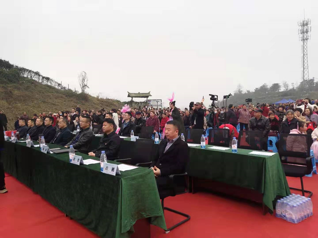 一年一度的桃花节开幕了，情系桃源美丽汉旺——绵竹市汉旺镇第二届桃花节开幕