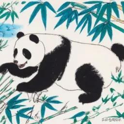 大熊猫的寿命，对于熊猫，你真的了解它吗