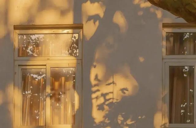 盛世容颜什么意思，远赴人间惊鸿宴，一睹人间的盛世容颜。，微信头像（一睹人间盛世颜。）