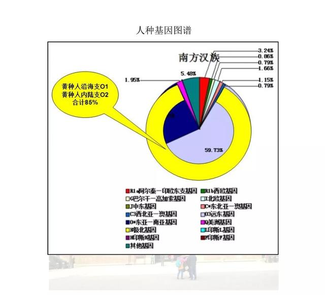 华夏族是指什么民族，中华民族简史