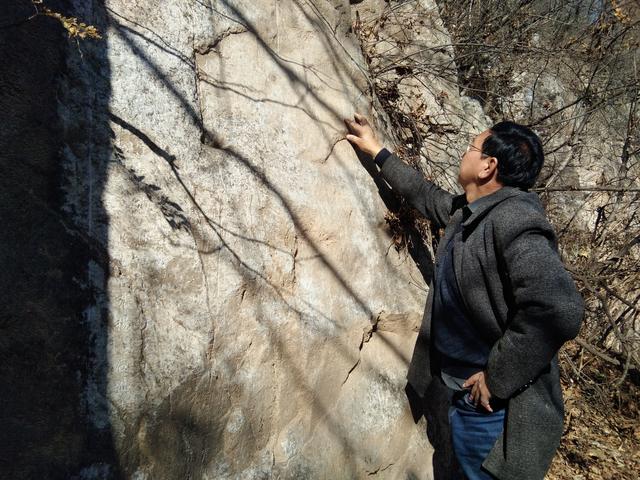 细芦子藤的功效与作用，青藤子的功效与作用（让石头“说话”房山考古专家耗十年著成875件碑刻通志）