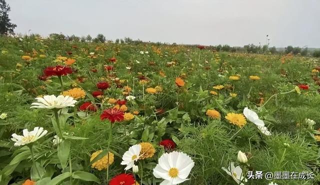 辽宁阜新旅游必去十大景点推荐，阜新的网红打卡地