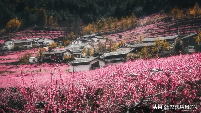 桃花的寓意和象征，桃花的寓意和象征简介（桃花的象征意义小人）