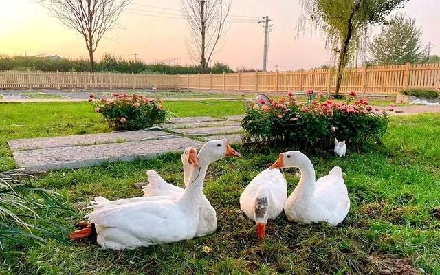 西安民宿前十名，10家最赞民宿（这些高颜值民宿）