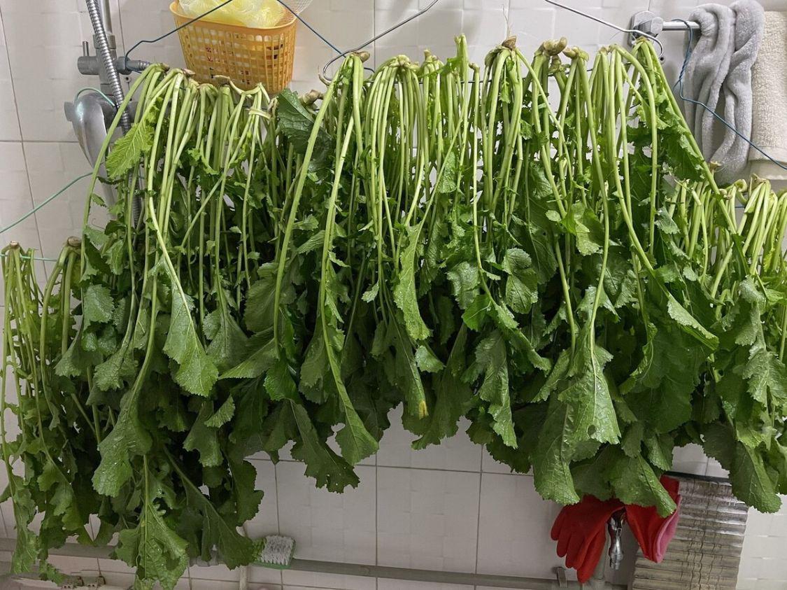 明日大雪,无论多忙,别忘吃6种"大雪菜",补足营养好过寒冬-