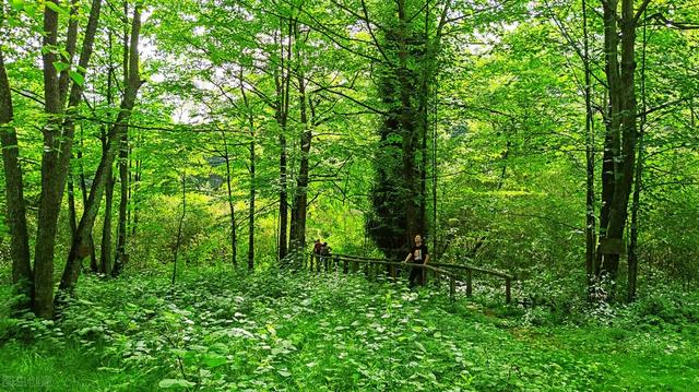 七八月份国内最佳旅游地方，七八月份国内最佳旅游地方溜娃（到这10个最佳旅游胜地）