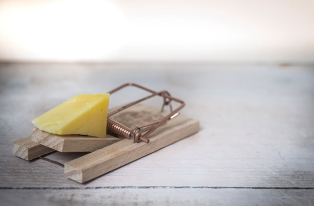 吉字开头的成语，海字开头的成语（地名“吉林”的“吉”）