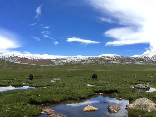 川藏线自驾游攻略，川藏线自驾游攻略最新版（自驾川藏南线318）