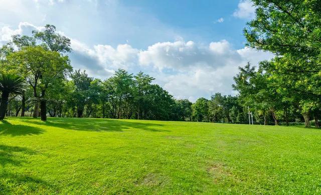 深圳荔枝公園有什麼好玩的(深圳這7個公園可以搭帳篷)