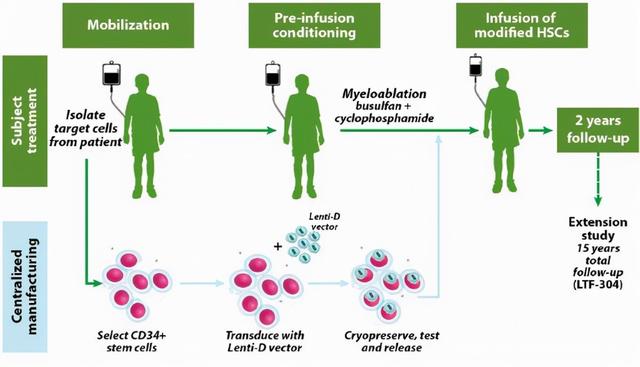 ald是什么病，ald罕见病治愈成功（第一个治疗脑肾上腺脑白质营养不良的基因疗法）