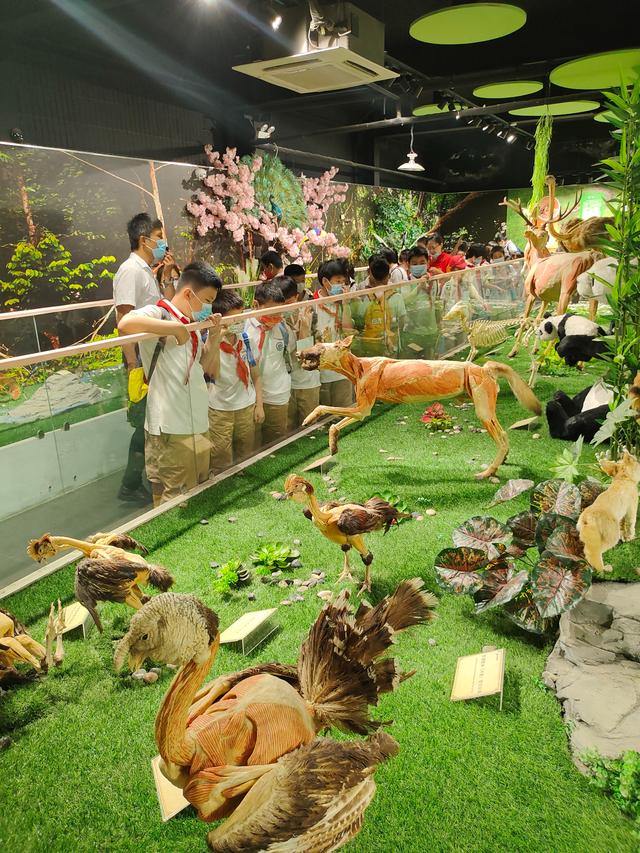 伏羲山大峡谷的主要景点，伏羲山大峡谷景区一日游攻略（打卡郑州必去6大山水景点）