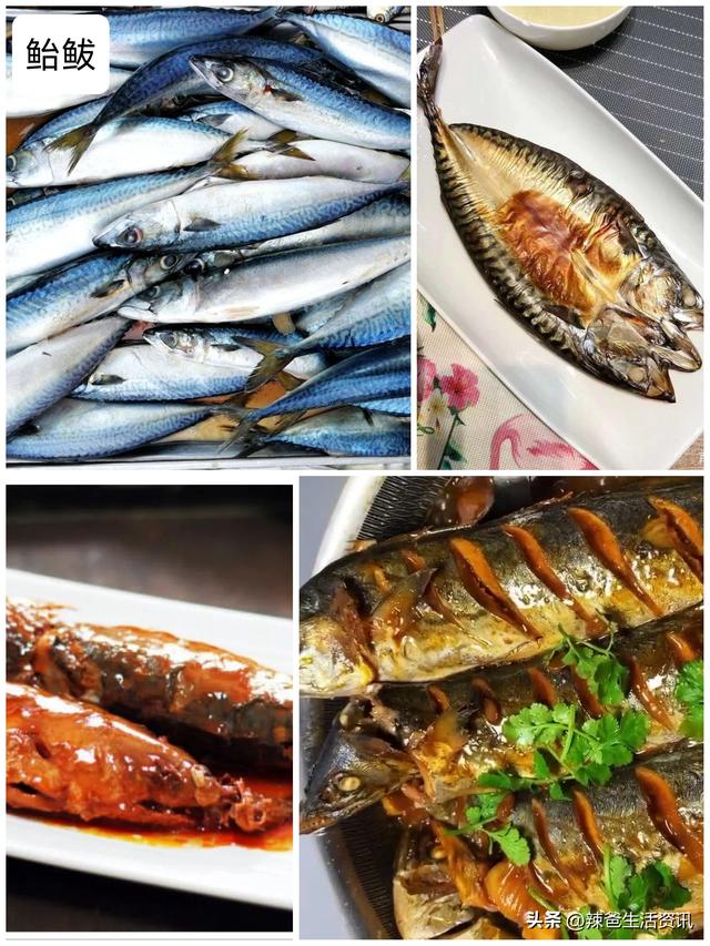 40种“好吃不贵”的野生海鱼（上），附：价格和吃法，请收藏