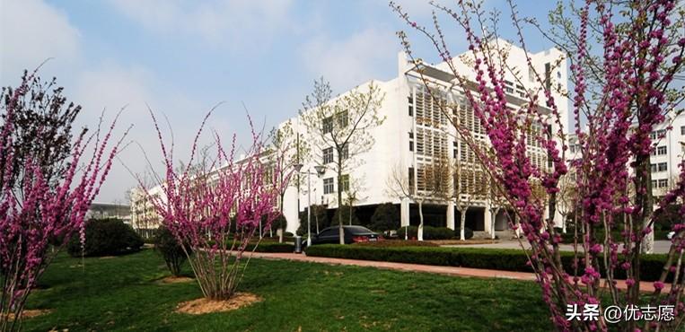 师范类大学（四所省部共建的）