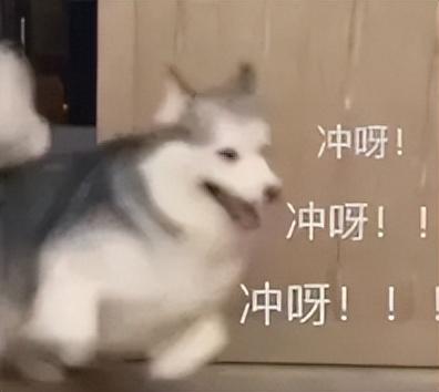 有什么推荐的小屏手机，有什么推荐的小屏手机游戏（这就是今年最值得买的小屏旗舰）