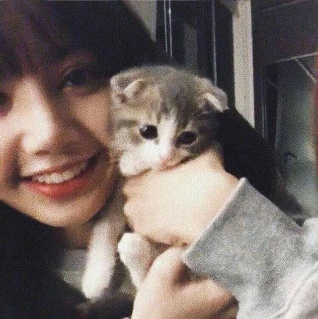 猫系女孩，微信头像，猫系女孩（女生头像：抱猫头像）
