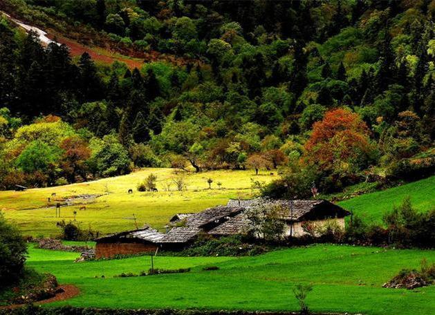 雨崩村海拔是多少，雨崩村海拔（喂马劈柴的“旷世桃源”）