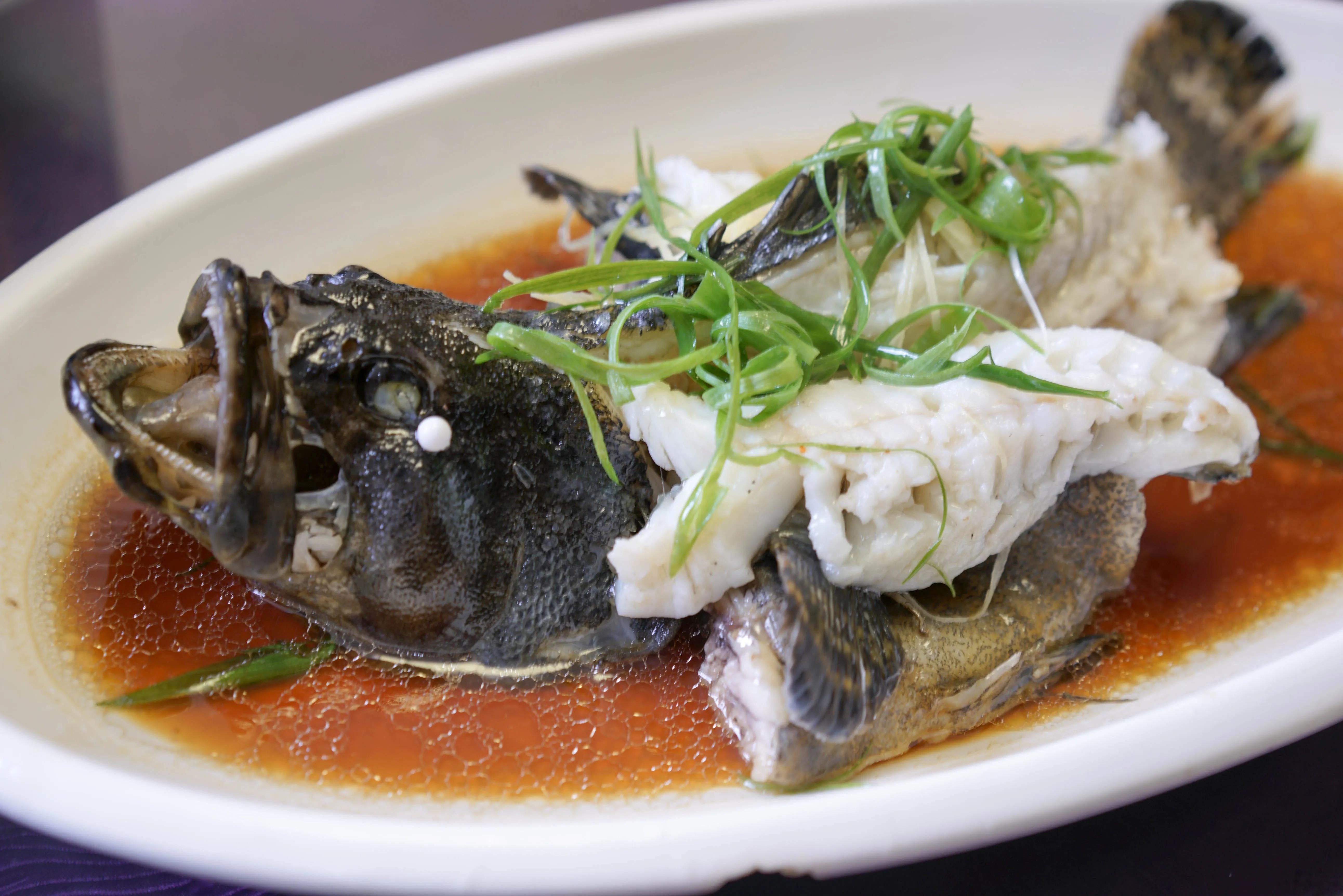 海鱼的种类图片和名字 常见(几十种海鱼你都吃过吗) - 去钓鱼