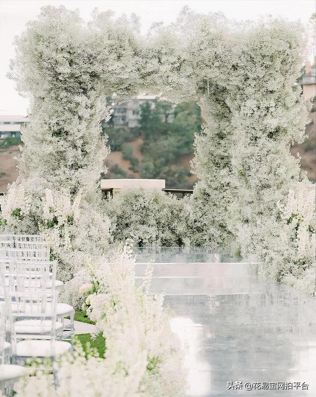 Gypsophila 满天星网名，Gypsophila 满天星（千万星、百万星、伊洛斯有何区别）