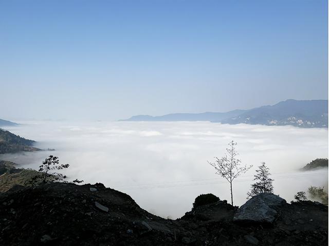 方腊活煮扈三娘，庞万春武力值（雾中蓝影行——穿梭于云海中的中越边境卫士）