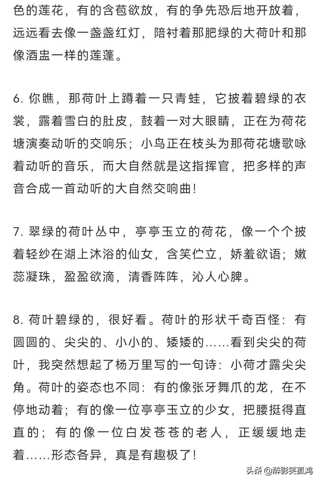 大自然的优美语句，大自然优美语句（描写自然景物的好句好段）