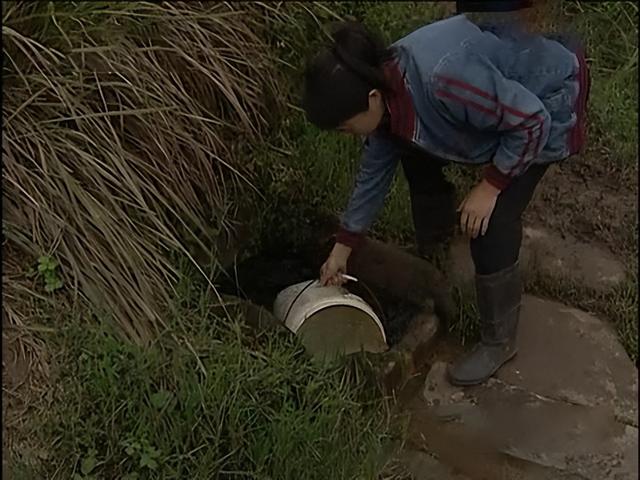 水沉香的功效 具体有哪些作用呢，水沉香的功效（四川古村发现两口怪井）