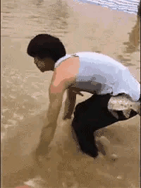 壁虎能长多大，为什么家里有壁虎一定要打死（“以为买了个壁虎）