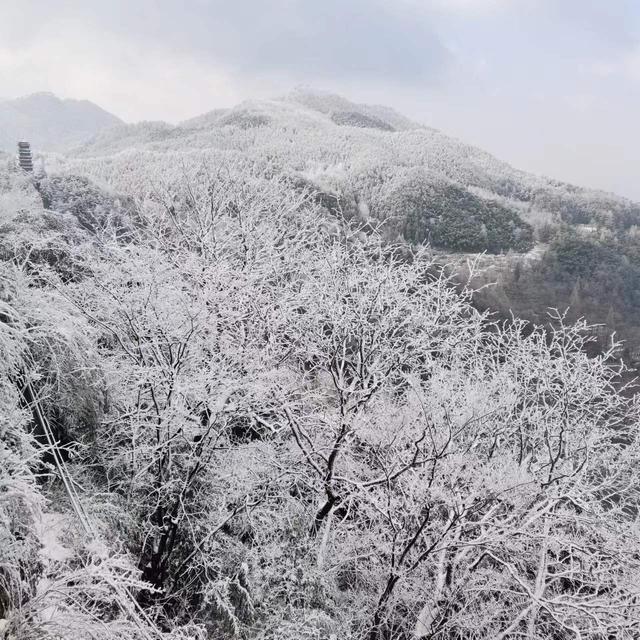 九华山最好的旅游攻略，九华山景区一日游攻略分享