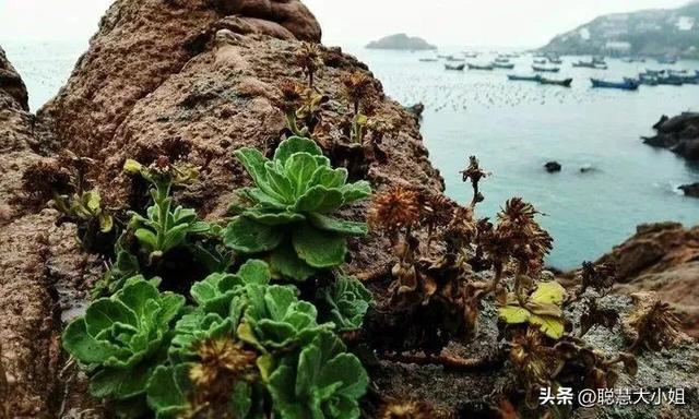 广西涠洲岛几月份去旅游最好，北海涠洲岛几月份去旅游最好（秋冬必去的绝美海岛）