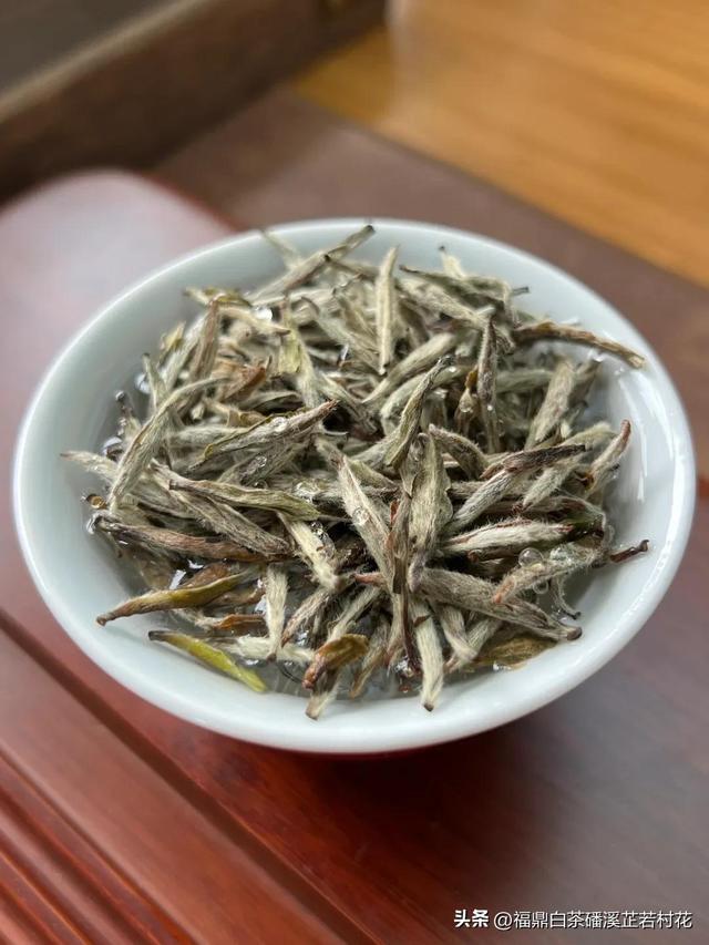 福鼎白茶产区磻溪，带你了解白茶优质产区，磻溪镇