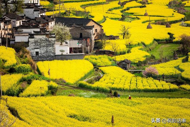 3月旅游的最佳地点，3月去什么地方旅游最好呢（三月份旅游一定要去的六个地方）