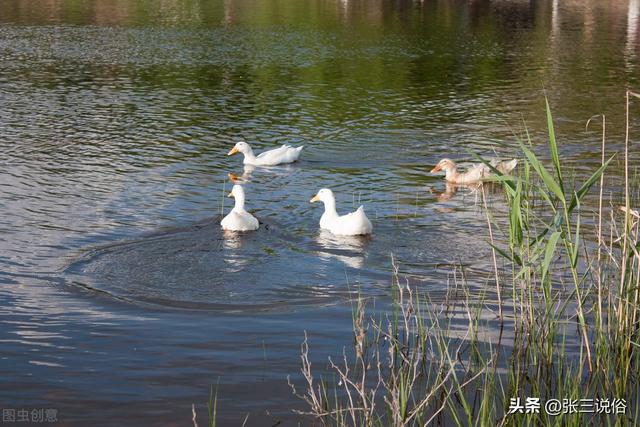 月建是什么意思，太岁月建是什么意思（今日秋分：今天“月破为大耗）