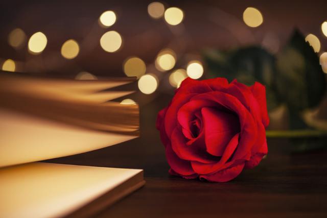 有哪些浪漫的花语，浪漫的花有什么（这里有你想守护的浪漫花语吗）