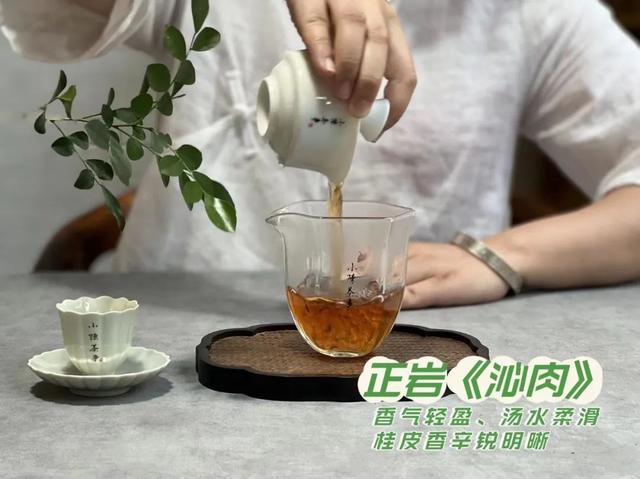 武夷岩茶之马头岩九龙窠肉桂，武夷岩茶入门