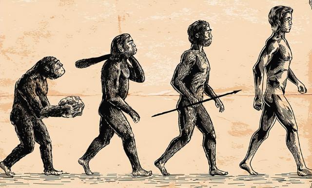 天寿是多少岁，天寿是多少岁 怎么算（人类为何是唯一活不到天寿的动物）