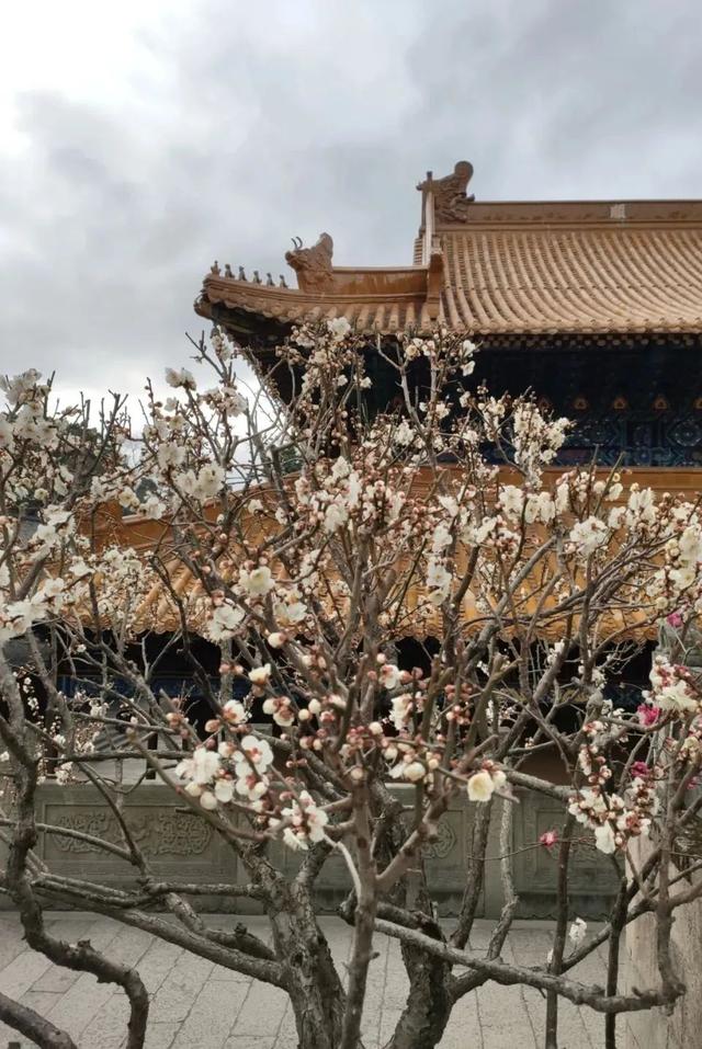 普陀山旅游攻略最新，普陀山旅游攻略2021（期待与你在普陀山朱家尖的邂逅~）