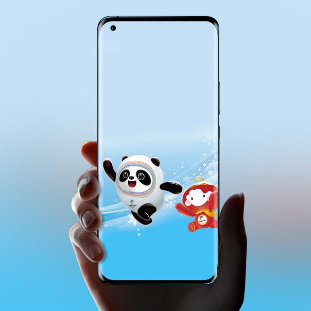 冰墩墩都有什么样的，冰墩墩高清壁纸（关于冰墩墩的介绍）