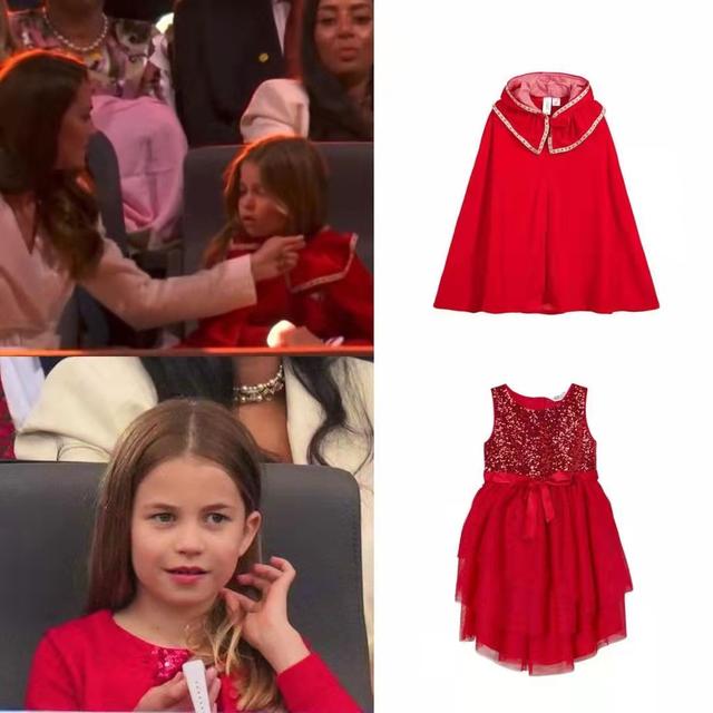 气质的童话公主，童话简单又漂亮的公主（7岁夏洛特美又飒莱昂诺尔高级感十足图片）