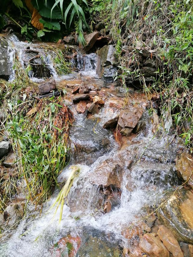 大自然的搬运工，大自然的搬运工是什么动物（大自然的搬运工是什么动物日记）