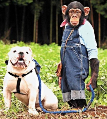 香港综艺节目排行榜，香港经典电影排行榜（那些笑爆肚的TVB经典综艺）