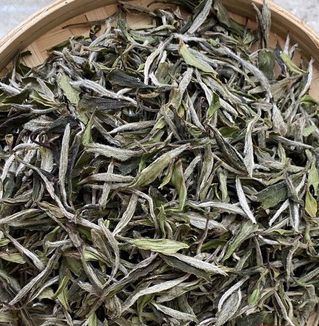 什么是白茶，什么是白茶 白茶的功效（你可能对白茶很陌生）