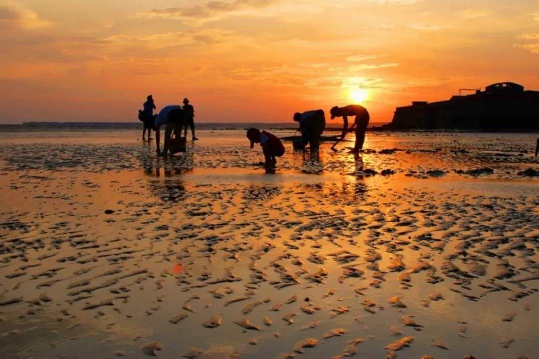 荣成风景区有哪些，荣成周边景点（来荣成这些打卡景区景点采撷好春光）
